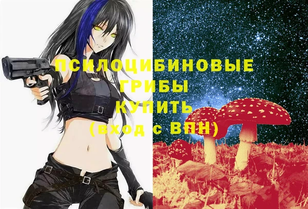 тгк Горняк