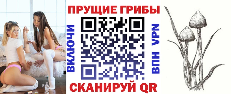 купить  сайты  Дудинка  Псилоцибиновые грибы ЛСД 